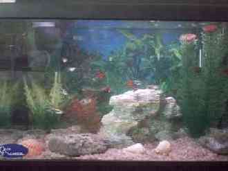 Acuario.jpg