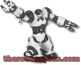 robo-shadow.jpg
